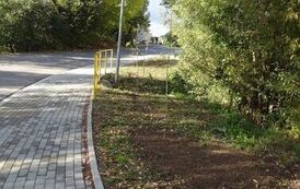 Nasadzenie drzew i krzew&oacute;w miododajnych na terenie Gminy Nowa Słupia 2026&nbsp; 9