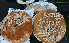 Dożynki Gminne w Jeleniowie. 15 sierpnia 2023.  29