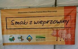 Dożynki Gminne w Jeleniowie. 15 sierpnia 2023.  73