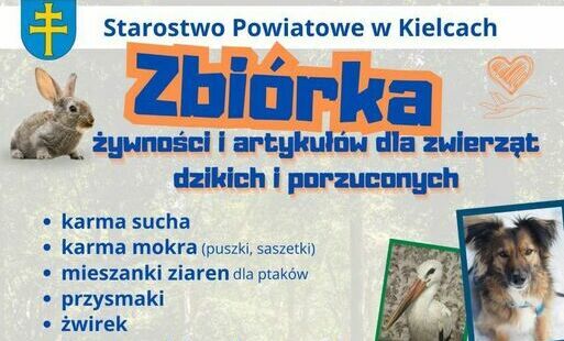 Zdjęcie do Zbi&oacute;rka żywności i artykuł&oacute;w dla zwierząt dzikich i porzuconych