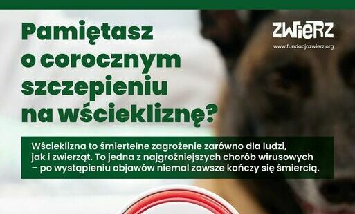 Zdjęcie do Bądź odpowiedzialny - zaszczep swojego psa! Wścieklizna - śmiertelne zagrożenie dla ludzi i zwierząt. 