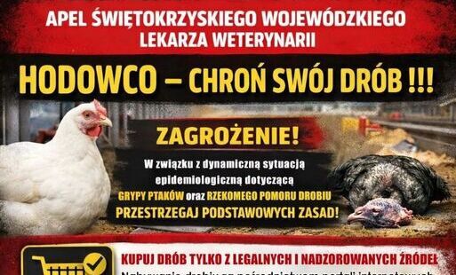 Zdjęcie do Apel do hodowc&oacute;w drobiu o wysokim ryzyku wystąpienia przypadk&oacute;w wysoce zjadliwej grypy ptak&oacute;w oraz rzekomego pomoru drobiu.