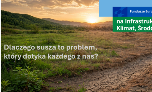 Zdjęcie do Jak wsp&oacute;łczesne zmiany klimatyczne zmieniają definicję suszy, co każdy z nas może zrobić, aby zatrzymać ten wysychający scenariusz?