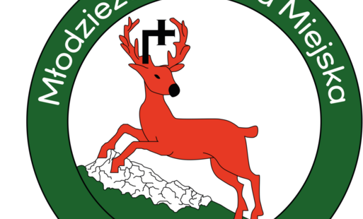 Zdjęcie do Radni Młodzieżowej Rady Miejskiej wybrani!