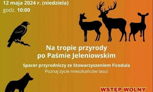 Zdjęcie do Zapraszamy na przyrodniczy spacer po Paśmie Jeleniowskim G&oacute;r Świętokrzyskich
