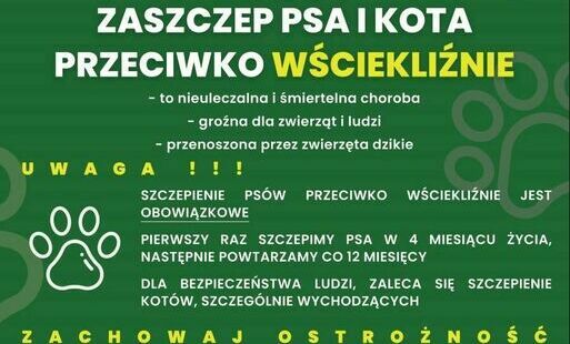 Zdjęcie do Zaszczep psa i kota przeciwko wściekliźnie.