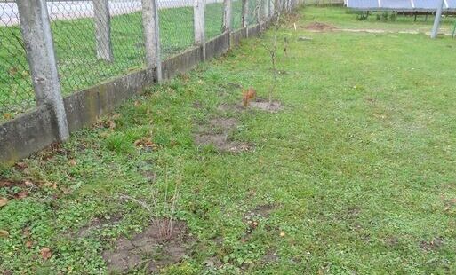 Zdjęcie artykułu z dnia 13-11-2025